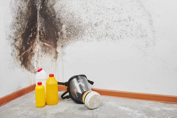 Best Residential Mold Removal  in Newman, CA
