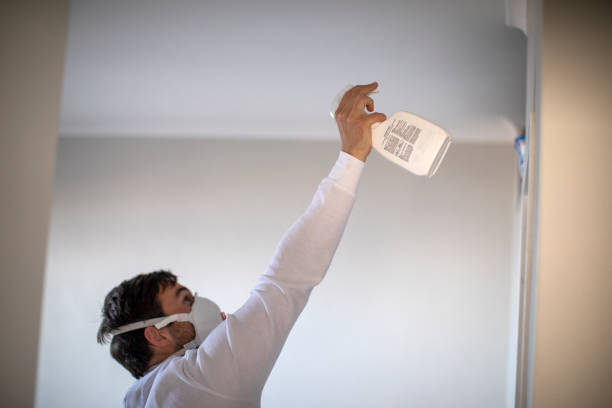 Best Fast Mold Removal  in Newman, CA