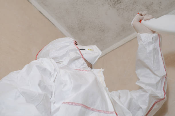 Best Commercial Mold Removal  in Newman, CA