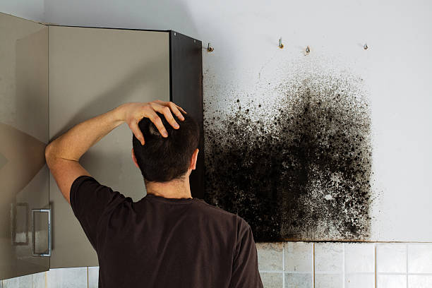 Best Office Mold Removal Services  in Newman, CA
