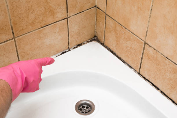 Best Black Mold Removal  in Newman, CA